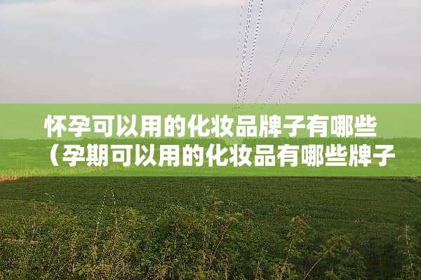 怀孕可以用的化妆品牌子有哪些（孕期可以用的化妆品有哪些牌子）
