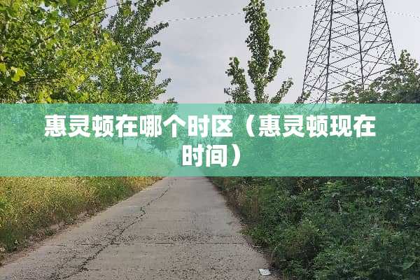 惠灵顿在哪个时区（惠灵顿现在时间）