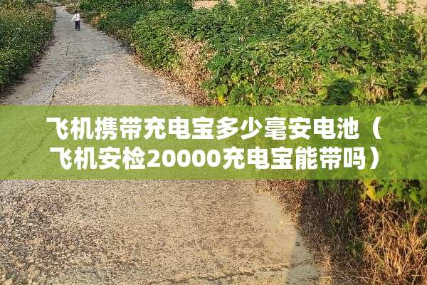 飞机携带充电宝多少毫安电池（飞机安检20000充电宝能带吗）