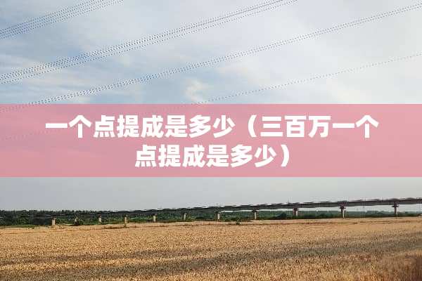 一个点提成是多少（三百万一个点提成是多少）