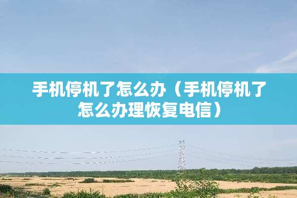 手机停机了怎么办（手机停机了怎么办理恢复电信）