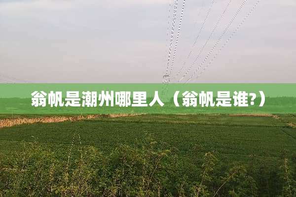 翁帆是潮州哪里人（翁帆是谁?）