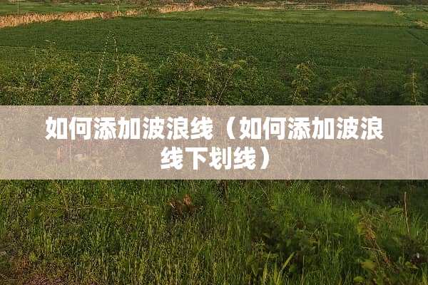 如何添加波浪线（如何添加波浪线下划线）
