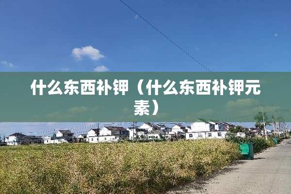 什么东西补钾（什么东西补钾元素）