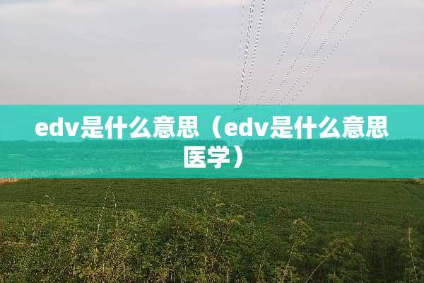 edv是什么意思（edv是什么意思医学）