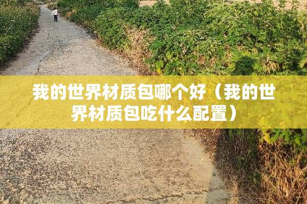 我的世界材质包哪个好（我的世界材质包吃什么配置）