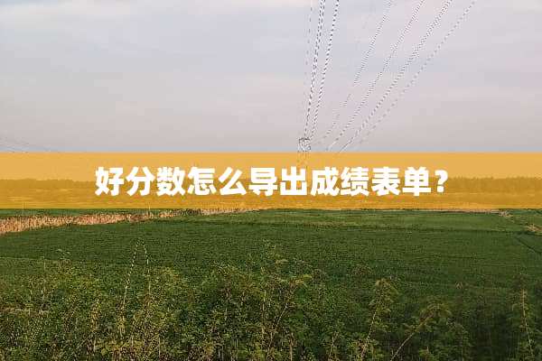 好分数怎么导出成绩表单？