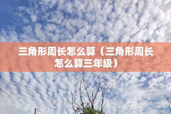 三角形周长怎么算（三角形周长怎么算三年级）