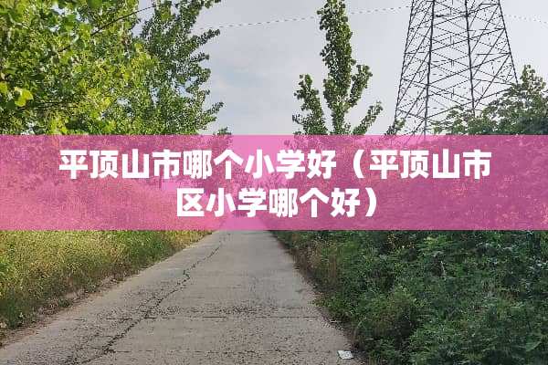 平顶山市哪个小学好（平顶山市区小学哪个好）