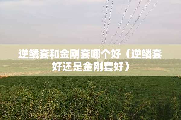 逆鳞套和金刚套哪个好（逆鳞套好还是金刚套好）