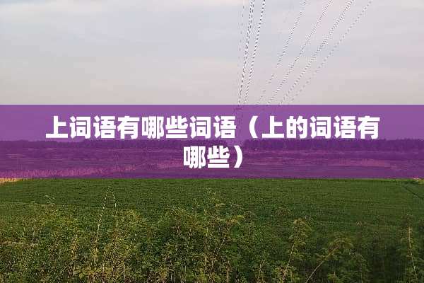 上词语有哪些词语（上的词语有哪些）