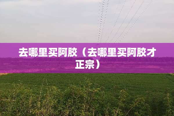 去哪里买阿胶（去哪里买阿胶才正宗）