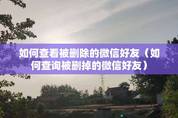 如何查看被删除的微信好友（如何查询被删掉的微信好友）