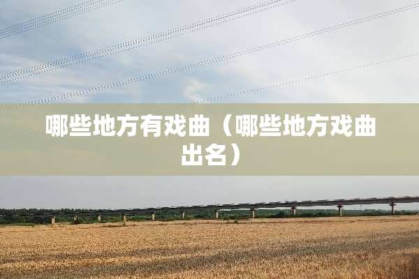 哪些地方有戏曲（哪些地方戏曲出名）
