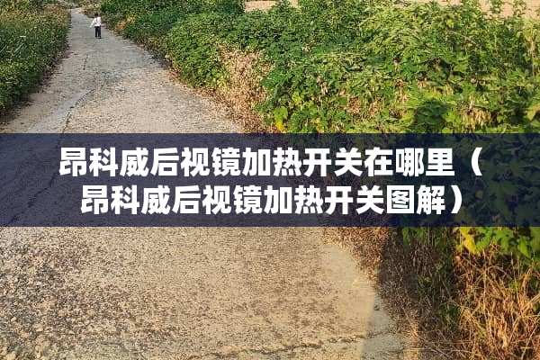 昂科威后视镜加热开关在哪里（昂科威后视镜加热开关图解）