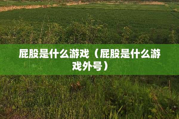 **是什么游戏（**是什么游戏外号）