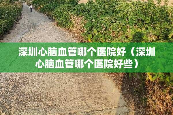 深圳心脑血管哪个医院好（深圳心脑血管哪个医院好些）