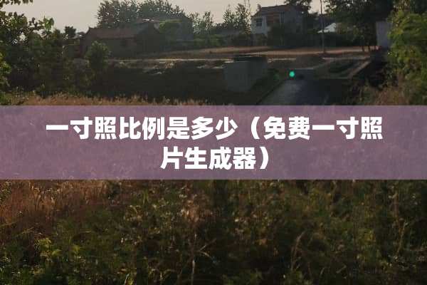一寸照比例是多少（免费一寸照片生成器）
