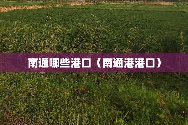 南通哪些港口（南通港港口）