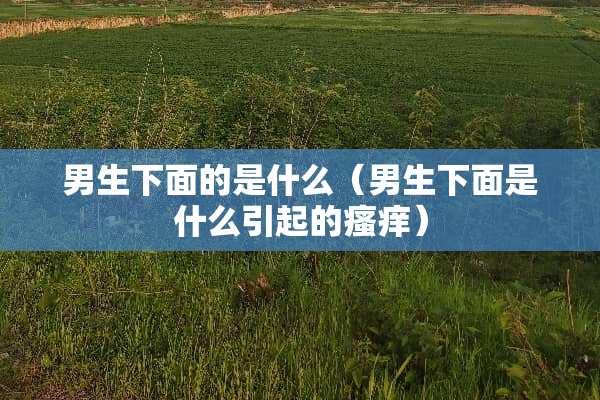 男生下面的是什么（男生下面是什么引起的瘙痒）