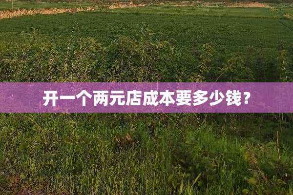 开一个两元店成本要多少钱？