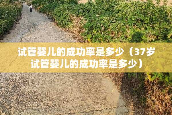 试管婴儿的成功率是多少（37岁试管婴儿的成功率是多少）