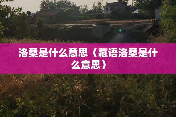 洛桑是什么意思（藏语洛桑是什么意思）