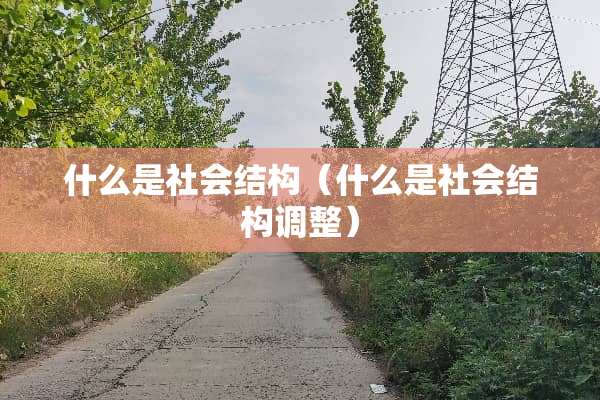 什么是社会结构（什么是社会结构调整）