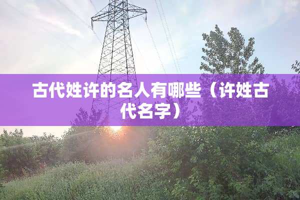 古代姓许的名人有哪些（许姓古代名字）