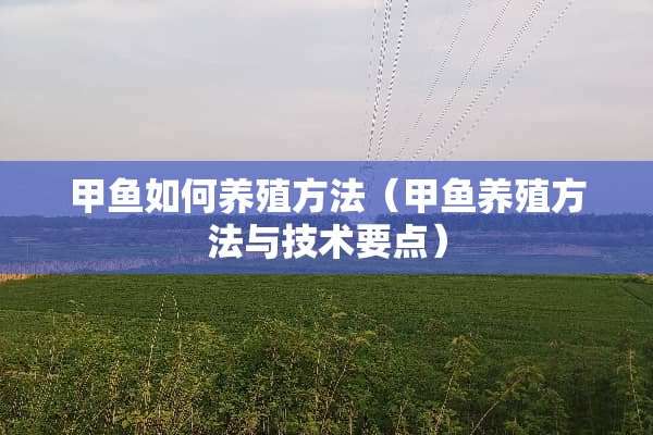 甲鱼如何养殖方法（甲鱼养殖方法与技术要点）