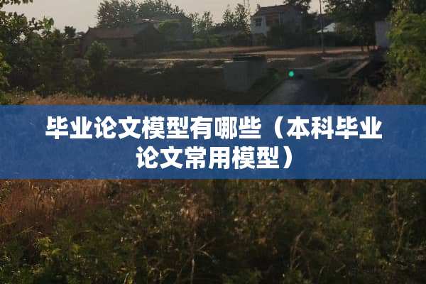 毕业论文模型有哪些（本科毕业论文常用模型）