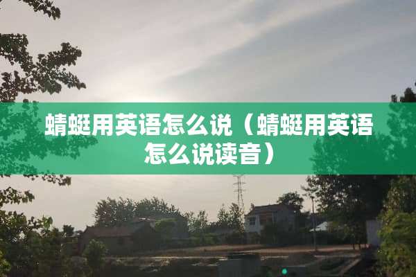 蜻蜓用英语怎么说（蜻蜓用英语怎么说读音）