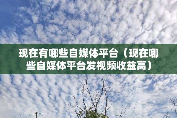现在有哪些自媒体平台（现在哪些自媒体平台发视频收益高）