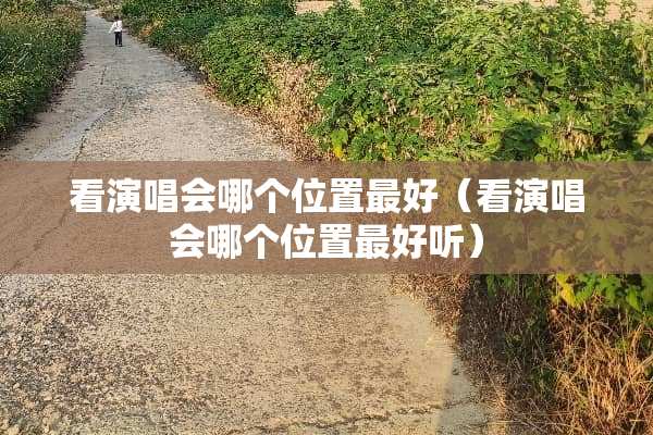 看演唱会哪个位置最好（看演唱会哪个位置最好听）