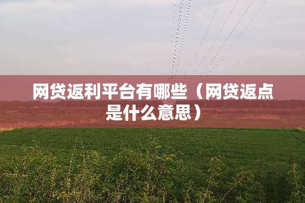 **返利平台有哪些（**返点是什么意思）