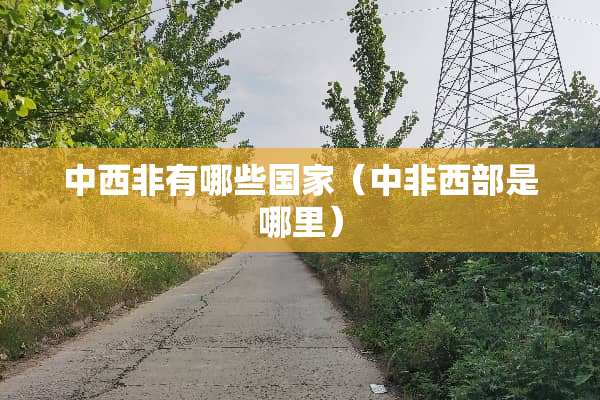 中西非有哪些国家（中非西部是哪里）