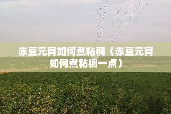赤豆元宵如何煮粘稠（赤豆元宵如何煮粘稠一点）
