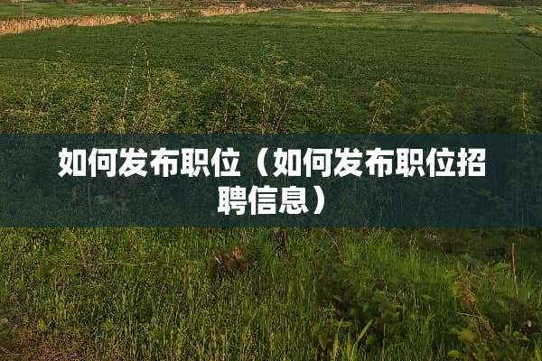 如何发布职位（如何发布职位招聘信息）