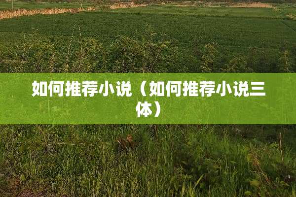 如何推荐小说（如何推荐小说三体）
