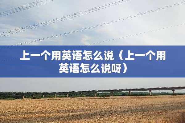 上一个用英语怎么说（上一个用英语怎么说呀）