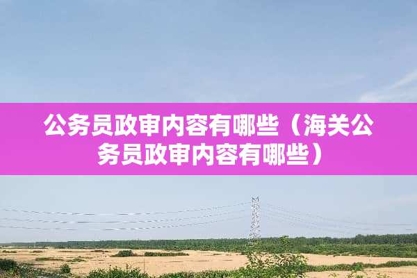 公务员政审内容有哪些（海关公务员政审内容有哪些）