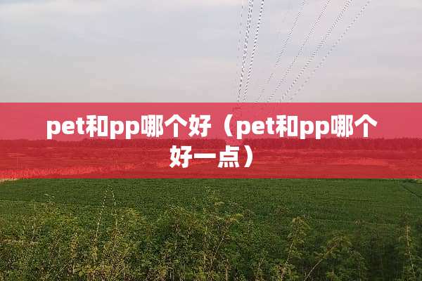 pet和pp哪个好（pet和pp哪个好一点）