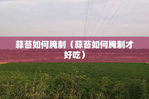 蒜苔如何腌制（蒜苔如何腌制才好吃）