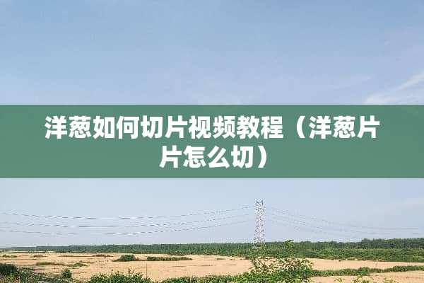 洋葱如何切片视频教程（洋葱片片怎么切）