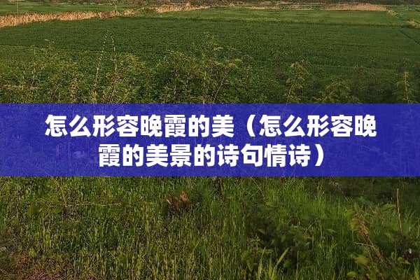 怎么形容晚霞的美（怎么形容晚霞的美景的诗句情诗）