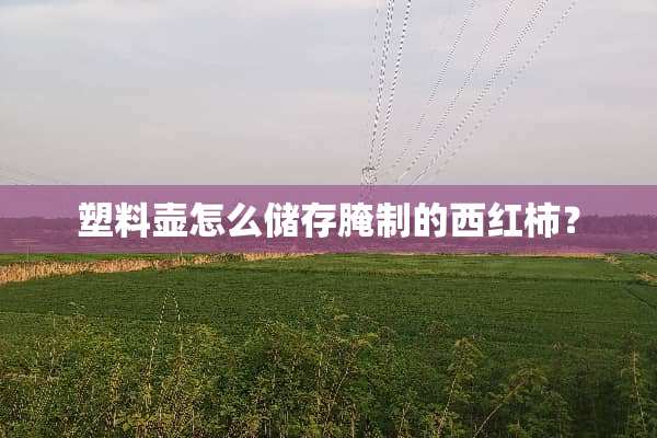 塑料壶怎么储存腌制的西红柿？