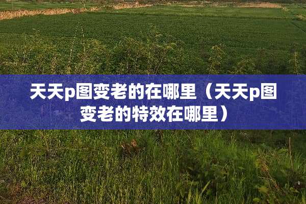 天天p图变老的在哪里（天天p图变老的特效在哪里）