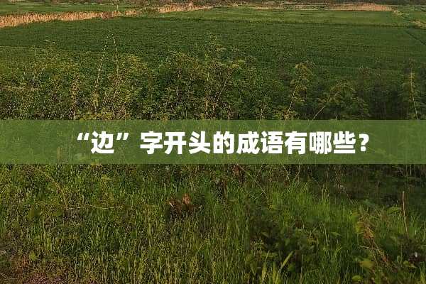 “边”字开头的成语有哪些？