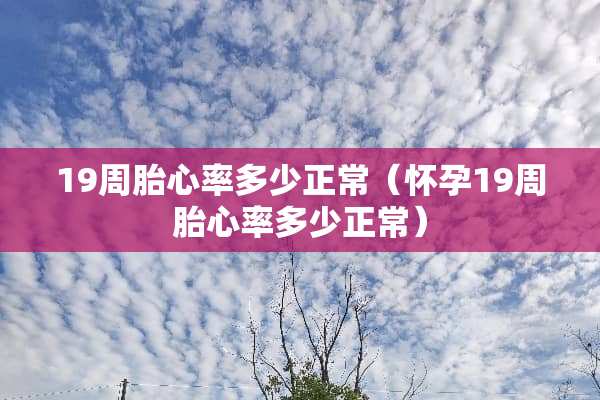 19周胎心率多少正常（怀孕19周胎心率多少正常）