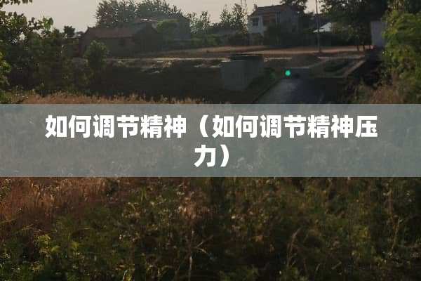 如何调节精神（如何调节精神压力）